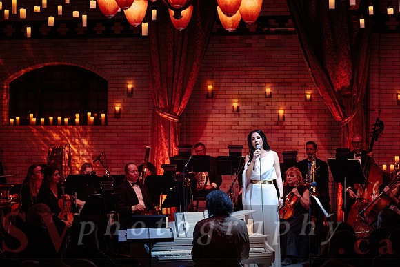 Twilight Symphony at the Castle