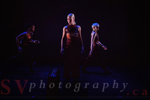 George Brown Dance and Jörgen Dance Academy Present: Next Stage 2026