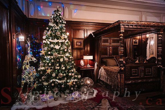 Christmas At The Castle with Holiday Lights