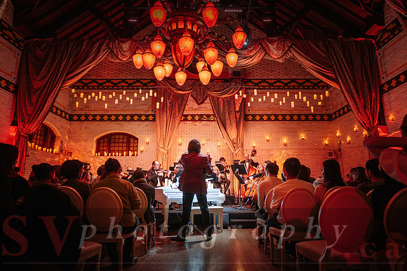 TWILIGHT SYMPHONY AT THE CASTLE