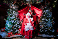 Christmas At The Castle with Holiday Lights