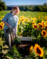 Davis Family Farm
