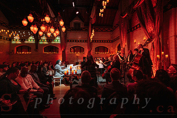 TWILIGHT SYMPHONY AT THE CASTLE
