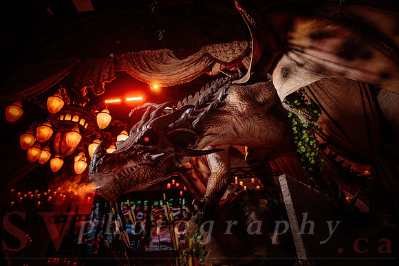 Imagine Dragons â€“ March Break at the Castle