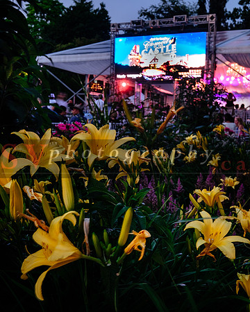 Symphony In The Gardens