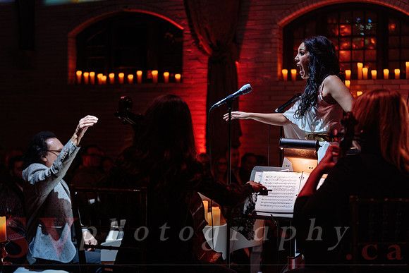 Twilight Symphony at the Castle