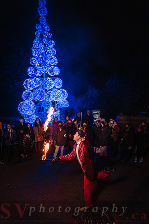 Christmas At The Castle with Holiday Lights