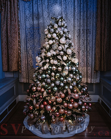 Christmas At The Castle with Holiday Lights