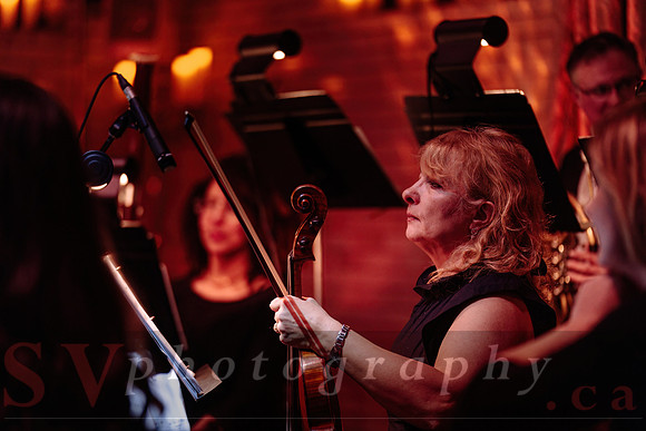 Twilight Symphony at the Castle