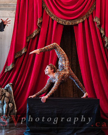 Casa Loma - March Break: Imagine Dragons