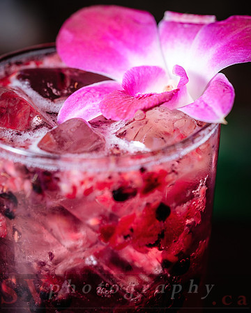 Easter Brunch