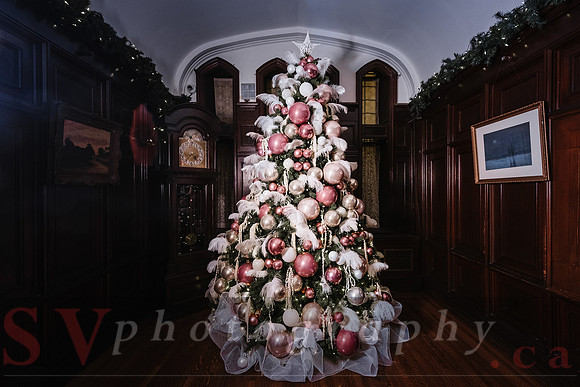 Christmas At The Castle with Holiday Lights