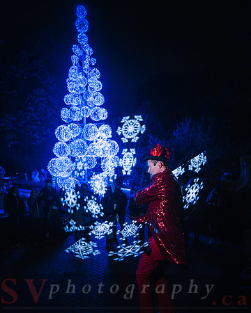 Christmas At The Castle with Holiday Lights