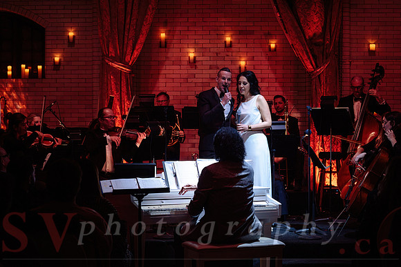 Twilight Symphony at the Castle
