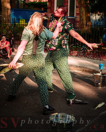 Celebrating 15 Years of Porch View Dances