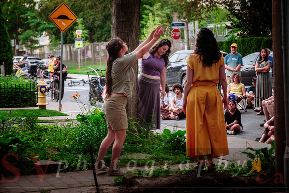 Porch View Dances 2026