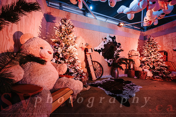 Christmas At The Castle with Holiday Lights