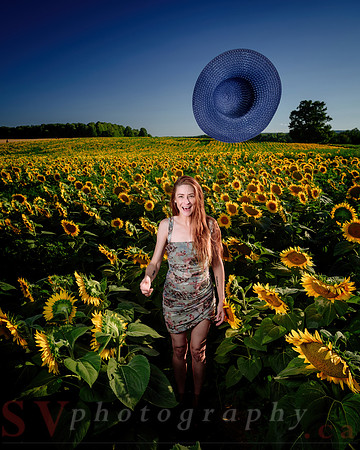 Davis Family Farm