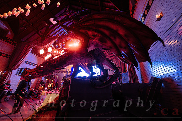 Imagine Dragons â€“ March Break at the Castle