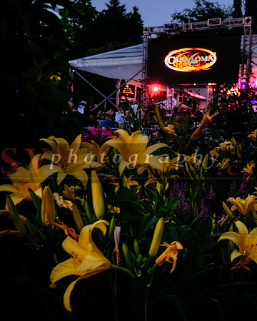 Symphony In The Gardens