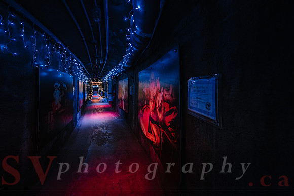 Christmas At The Castle with Holiday Lights