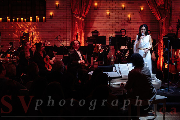 Twilight Symphony at the Castle