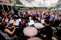 Symphony In The Gardens