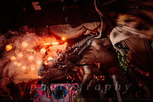 Imagine Dragons â€“ March Break at the Castle
