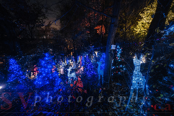 Christmas At The Castle with Holiday Lights