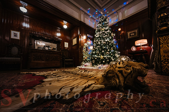 Christmas At The Castle with Holiday Lights