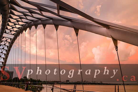 Summer at Humber Bay