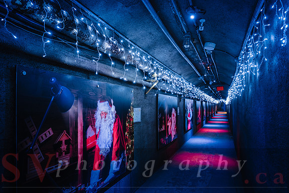 Christmas At The Castle with Holiday Lights