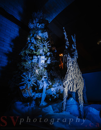 Christmas At The Castle with Holiday Lights