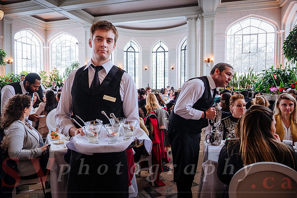Casa Loma High Tea