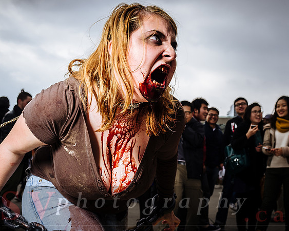 Toronto Zombie Walk
