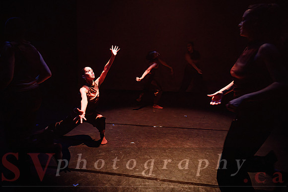George Brown Dance and Jörgen Dance Academy Present: Next Stage 2026