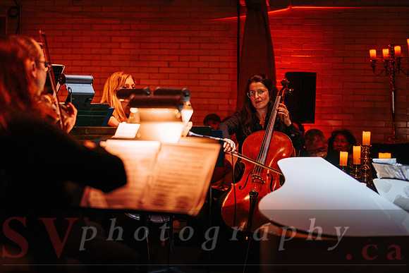 TWILIGHT SYMPHONY AT THE CASTLE