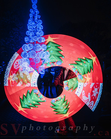 Christmas At The Castle with Holiday Lights