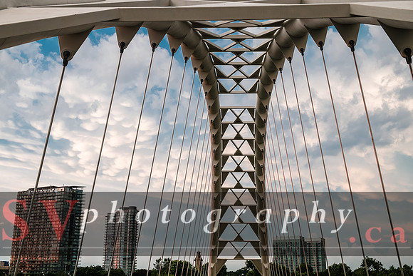 Summer at Humber Bay