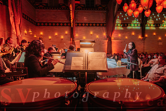 TWILIGHT SYMPHONY AT THE CASTLE