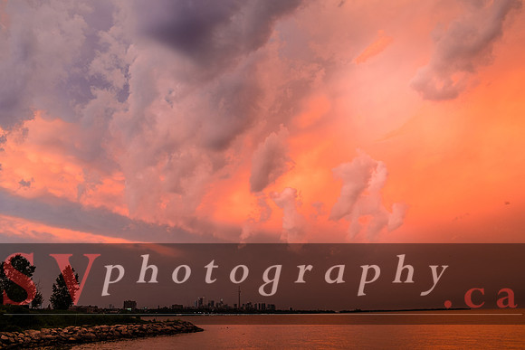 Summer at Humber Bay