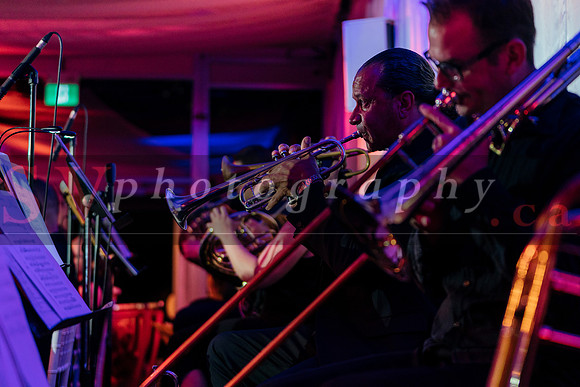 Symphony In The Gardens