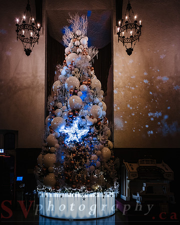 Christmas At The Castle with Holiday Lights