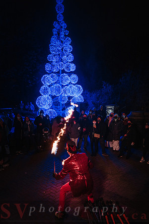 Christmas At The Castle with Holiday Lights