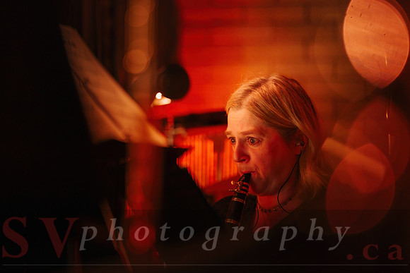 TWILIGHT SYMPHONY AT THE CASTLE