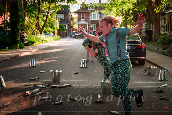 Celebrating 15 Years of Porch View Dances