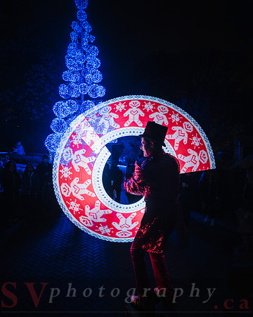 Christmas At The Castle with Holiday Lights