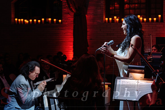 Twilight Symphony at the Castle