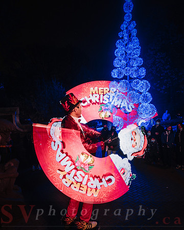 Christmas At The Castle with Holiday Lights