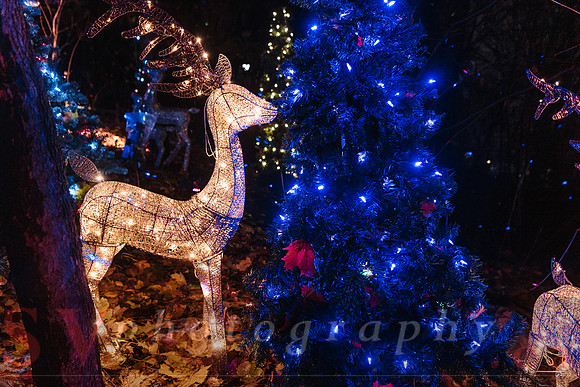 Christmas At The Castle with Holiday Lights